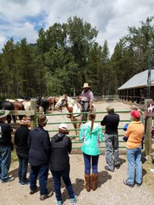 Glacier National Park Trail Rides Apgar Corral