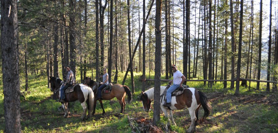West Glacier Trail Rides