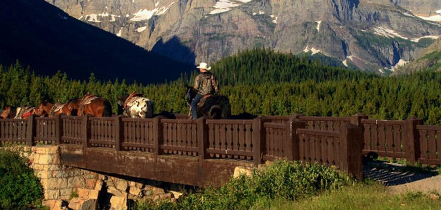 Many Glacier Trail Rides