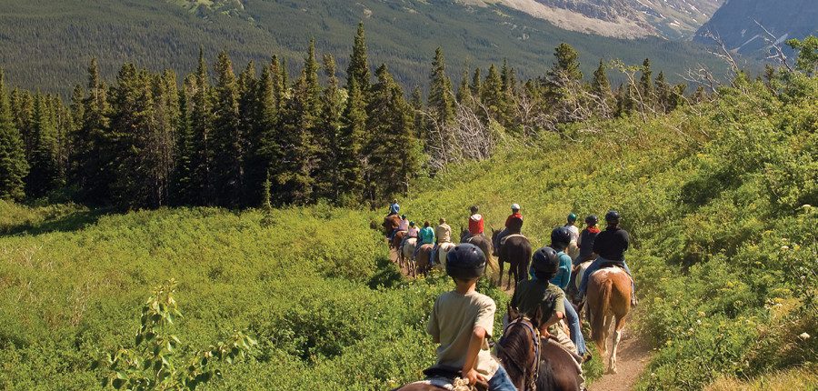 Rates and Trips at a Glance